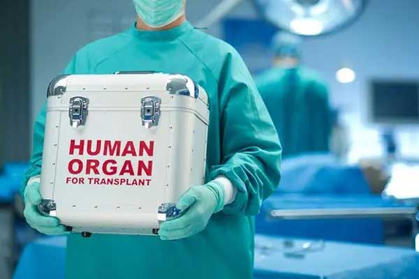 Human-Organ